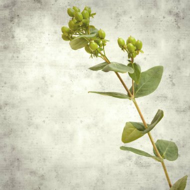  Eski kağıt arkaplan