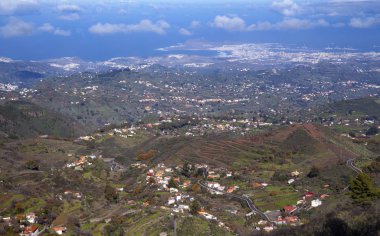 Büyük Kanarya, Aralık