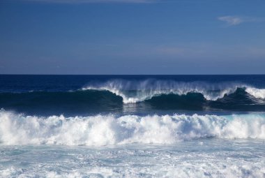 Büyük Kanarya, dalgaları kırıyor