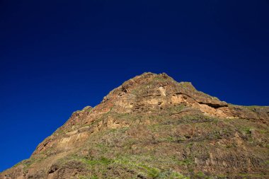 Büyük Kanarya, Aralık