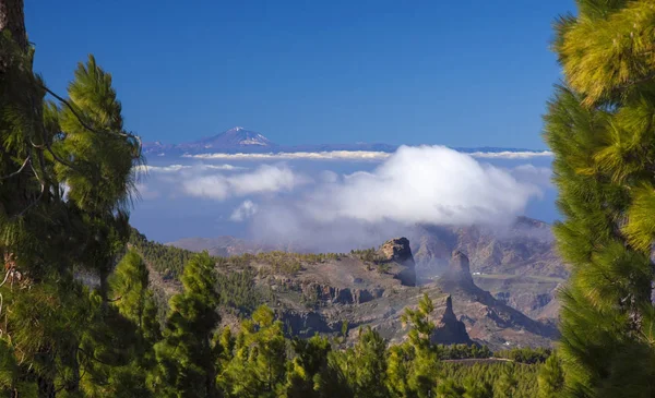 Gran Canaria, December — 스톡 사진