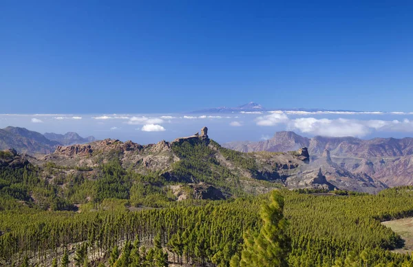 Gran Canaria, desember – stockfoto