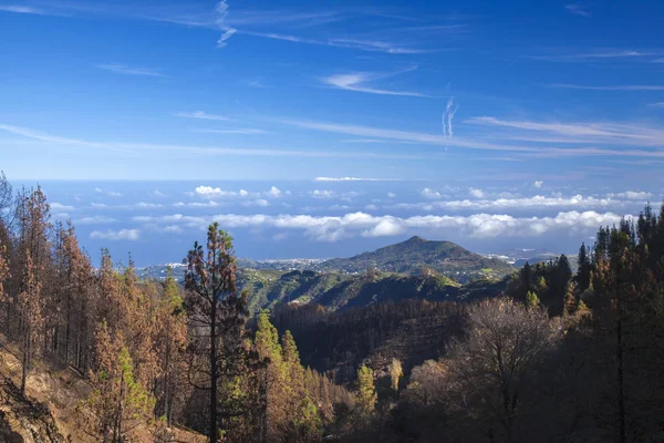 Gran Canaria, december - Stock-foto