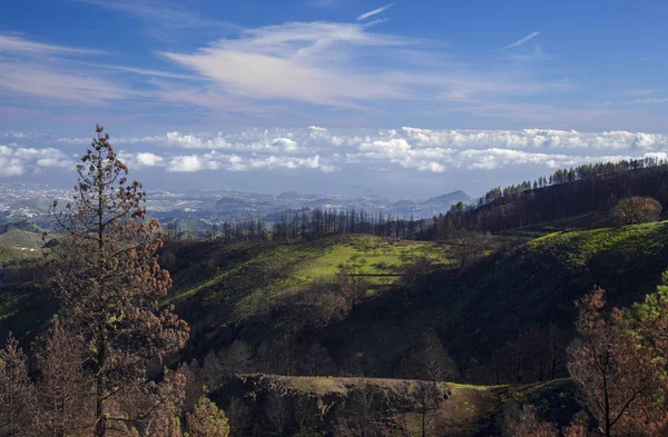 Gran Canaria, December — стокове фото