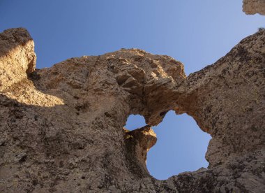 Büyük Kanarya, Ocak