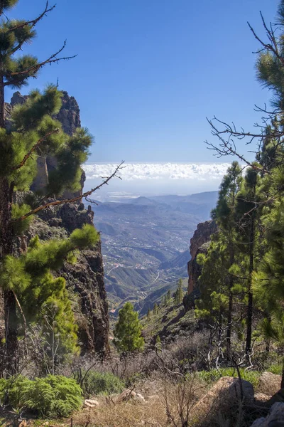 Gran Canaria, januari — Stockfoto
