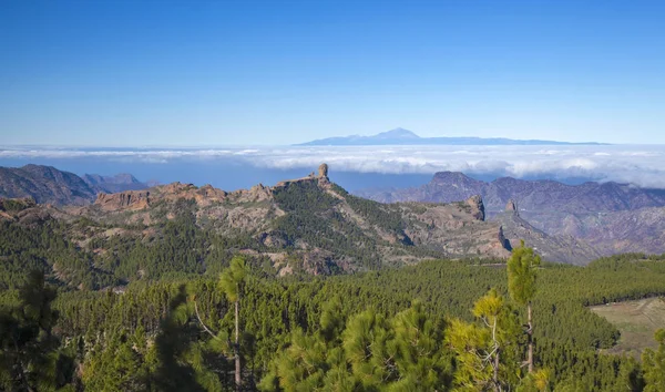 Gran Canaria, styczeń — Zdjęcie stockowe