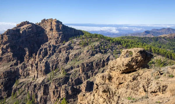 Gran Canaria, styczeń — Zdjęcie stockowe