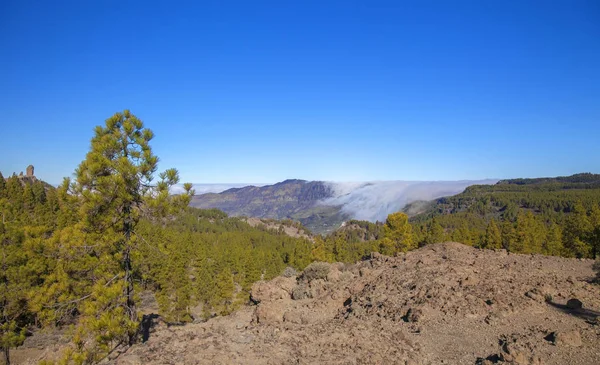 Gran Canaria, January — Stock Photo, Image