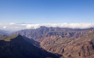 Büyük Kanarya, Ocak