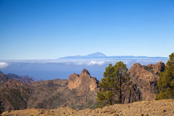 Gran Canaria, January — 스톡 사진