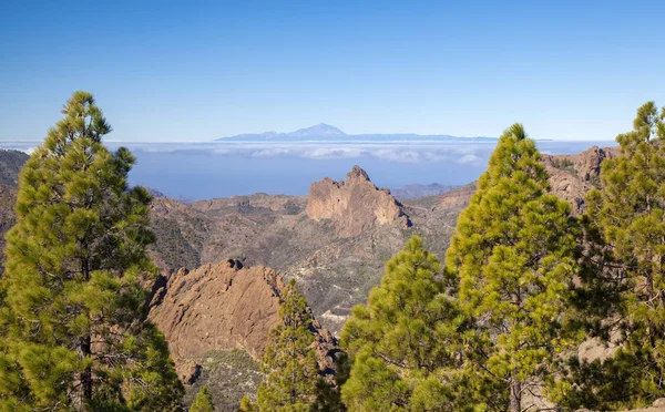 Gran Canaria, January — 스톡 사진