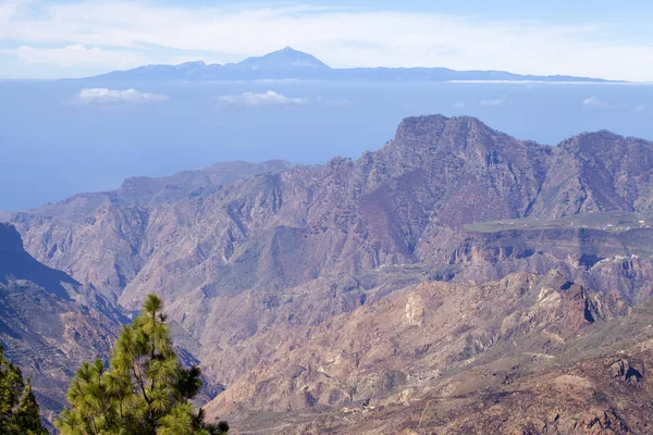 Gran Canaria, januari — Stockfoto