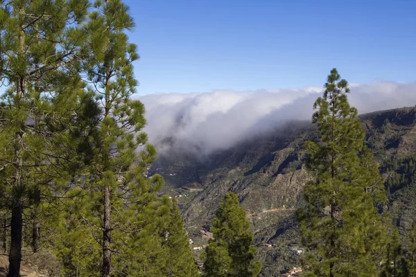 Gran Canaria, Janeiro — Fotografia de Stock