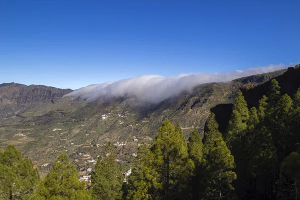 Gran Canaria, January — 스톡 사진