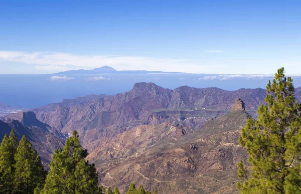 Gran Canaria, Janeiro — Fotografia de Stock