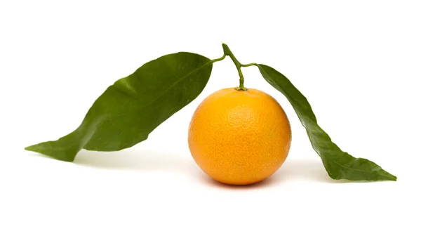 Mandarina sobre branco — Fotografia de Stock