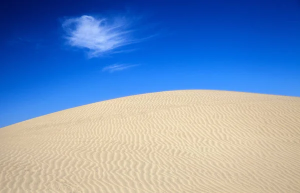 Písek a vítr na dunách — Stock fotografie