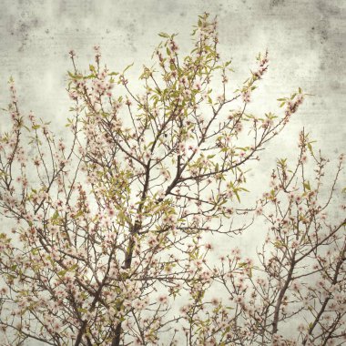  Eski kağıt arkaplan