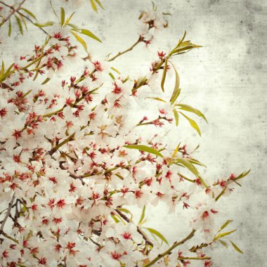  Eski kağıt arkaplan