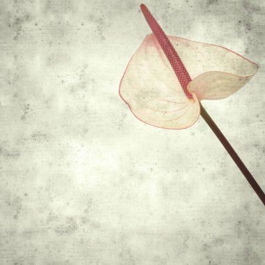  Eski kağıt arkaplan