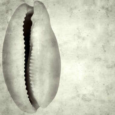  Eski kağıt arkaplan