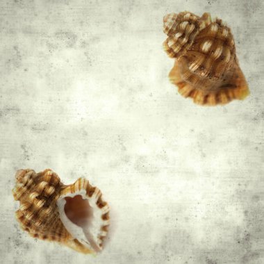  Eski kağıt arkaplan