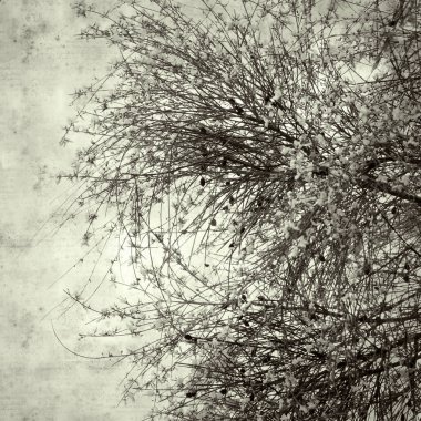  Eski kağıt arkaplan