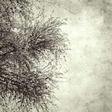  Eski kağıt arkaplan