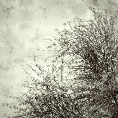  Eski kağıt arkaplan