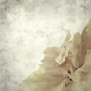  Eski kağıt arkaplan