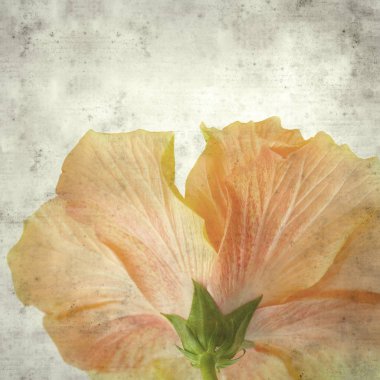  Eski kağıt arkaplan