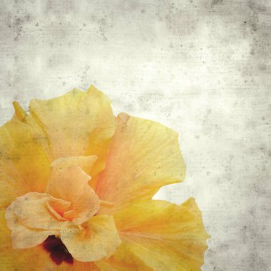  Eski kağıt arkaplan