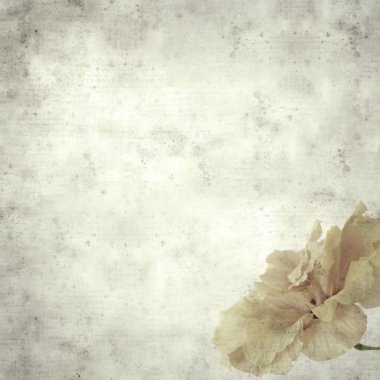  Eski kağıt arkaplan