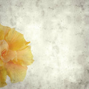  Eski kağıt arkaplan