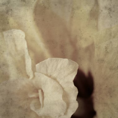  Eski kağıt arkaplan