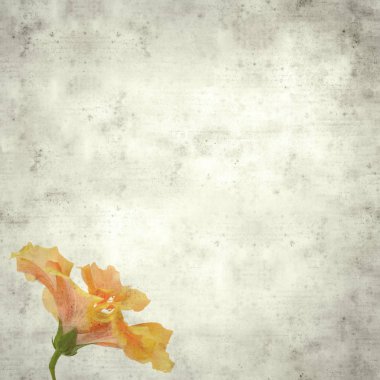  Eski kağıt arkaplan