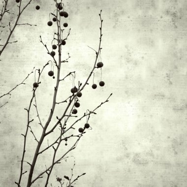  Eski kağıt arkaplan