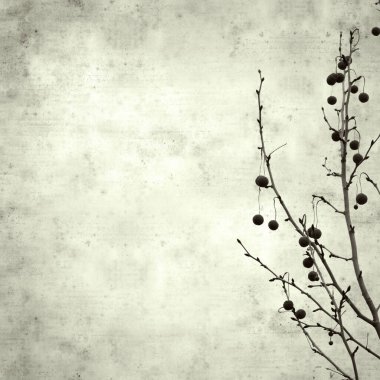  Eski kağıt arkaplan