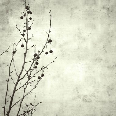  Eski kağıt arkaplan