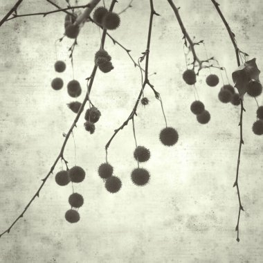  Eski kağıt arkaplan