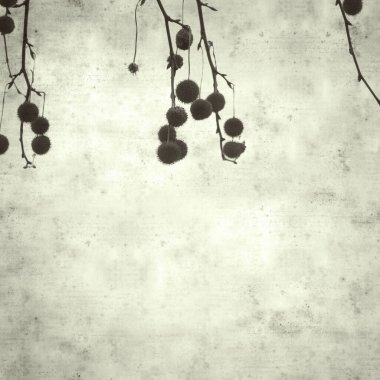  Eski kağıt arkaplan