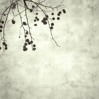  Eski kağıt arkaplan