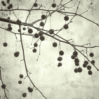  Eski kağıt arkaplan