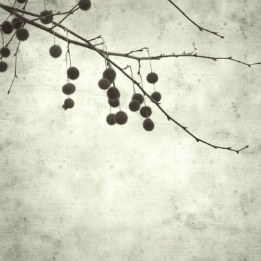  Eski kağıt arkaplan