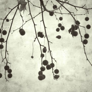  Eski kağıt arkaplan