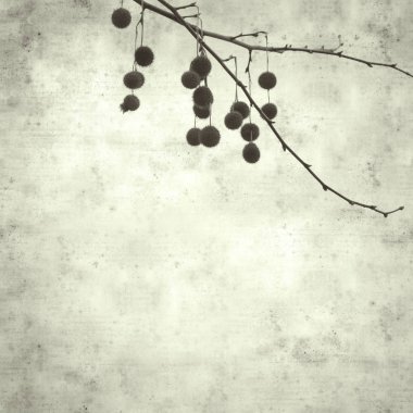  Eski kağıt arkaplan