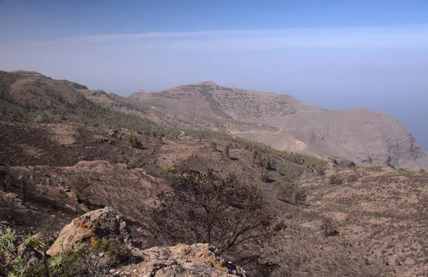 Gran Canaria Teil Des Naturparks Tamadaba Von Waldbrand Betroffen — Stockfoto