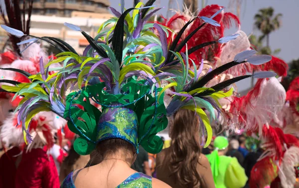 Las Palmas España Febrero 2020 Corto Desfile Carnaval Recorre Las —  Fotos de Stock