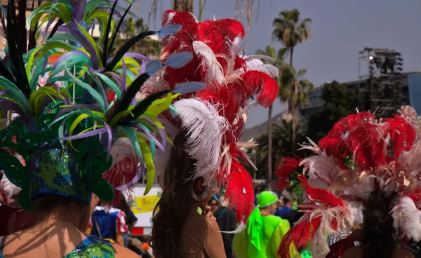 Las Palmas Espanha Fevereiro 2020 Curta Parada Carnaval Prossegue Pelas — Fotografia de Stock